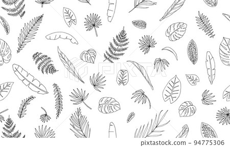 Vector seamless pattern of tropical plant leaves. Repeat background of jungle foliage. Hand drawn palm tree, banana, monstera, dieffenbachia, Terminalia, fern, alocasia, cordyline. Home tropic leaf 94775306