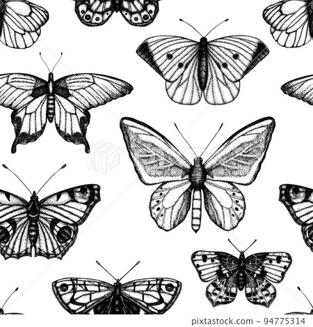 Vector seamless pattern of hand drawn black and white butterflies. Engraving retro illustration. Repeating background with realistic insect. Detailed graphic drawing in vintage style 94775314