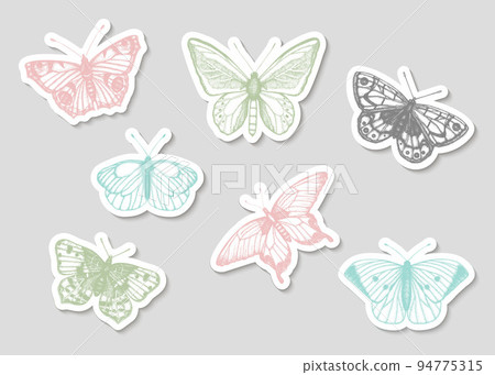 Vector set of hand drawn black and white stickers with butterflies. Engraving vintage illustration in pastel colors. Realistic insects isolated on grey background. Detailed graphic drawing 94775315