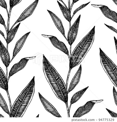 Vector seamless pattern of tropical leaves isolated on white background. Hand drawn natural background. Black and white graphic tropical design. Line shading style. 94775329