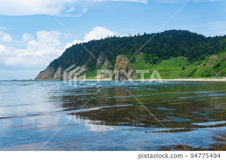 coastal landscape, rocky green coast of Kunashir island, sandy beach with algae on the littoral at low tide in the foreground coastal landscape, rocky green coast of Kunashir island, sandy beach with algae on the littoral at low tide in the foreground 94775494