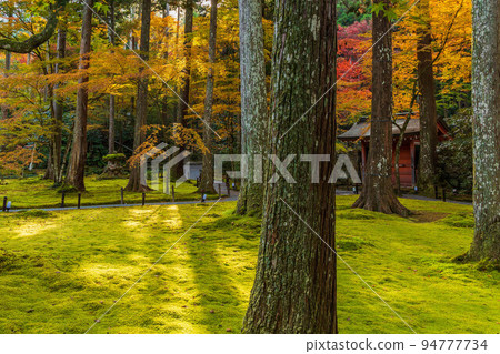 Autumn in Ohara, Kyoto Sanzen-in Temple Yuseien with autumn leaves Autumn in Ohara, Kyoto Sanzen-in Temple Yuseien with autumn leaves 94777734