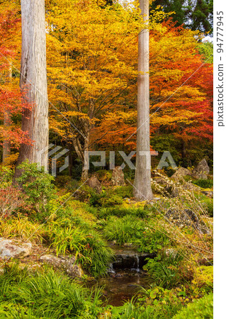 京都大原的秋天，秋葉的三千院，二十五菩薩園 94777945