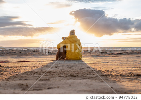a german boxer dog sitting on the seashore during sunset with owner blonde girl team partner friend sweden melbystrand 94778012
