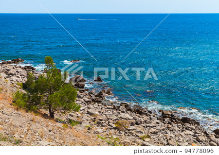 Summer Crimean landscape. Pine tree grows at rocky sea coast Summer Crimean landscape. Pine tree grows at rocky sea coast 94778096