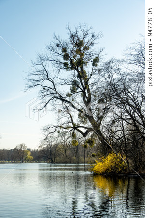 Panorama of English Garden in Munich 94778105