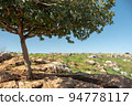 Mount Arbel near Tiberias in Israel 94778117
