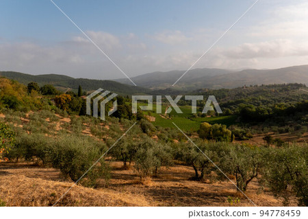 Landscape panorama from Tuscany, in the Chianti region. Italy. 94778459