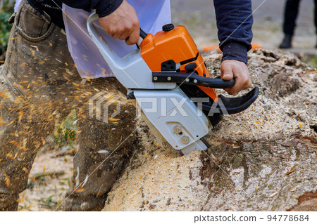 During a hurricane storm, a worker in wearing a chainsaw saws the branches that fall from trees onto the asphalt 94778684