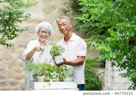 Senior couple gardening 94779333