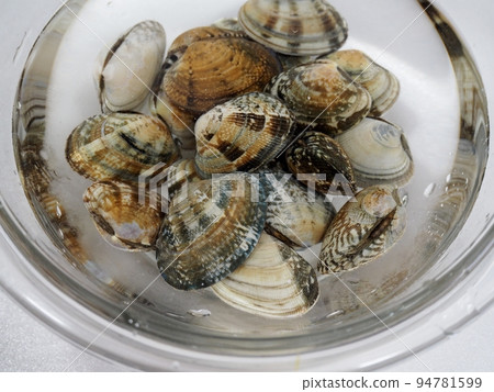 無沙蛤蜊 無沙蛤蜊 94781599