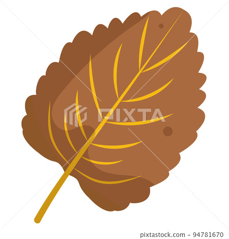 Isolated colored autumn leaf icon Vector Isolated colored autumn leaf icon Vector 94781670