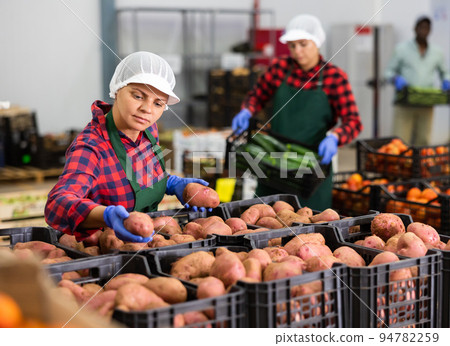 Woman packing potatoes in vegetable warehouse 94782259