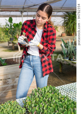 Young woman caring for plant and flower seedlings in greenhouse 94782354