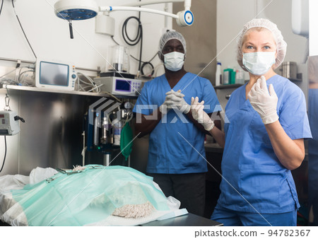 Woman veterinarian and man assistant after operation 94782367