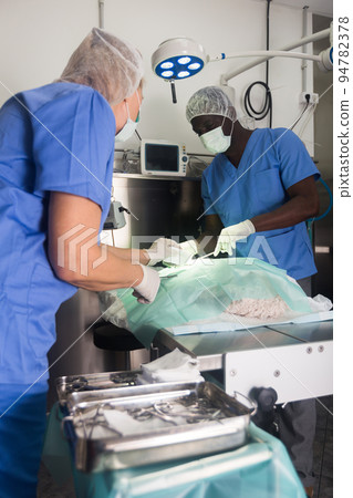 Veterinarians doing operation for dog in a veterinary clinic 94782378