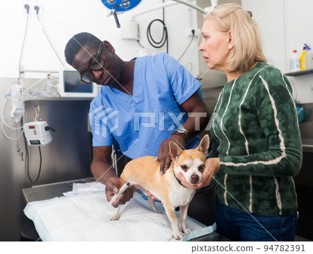 Woman with dog at veterinarian clinic during consultation Woman with dog at veterinarian clinic during consultation 94782391