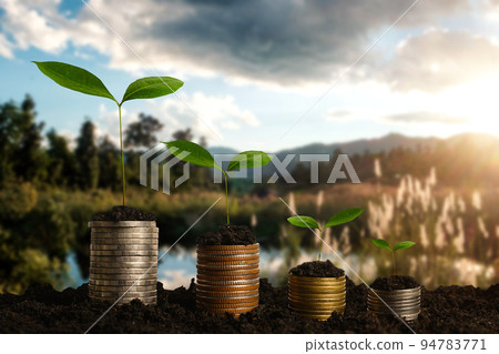 Plant growing step with coins stack on dirt and sunshine in nature morning light. concept saving money. Plant growing step with coins stack on dirt and sunshine in nature morning light. concept saving money. 94783771