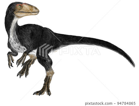 早期地龍霸王龍 早期地龍霸王龍 94784865