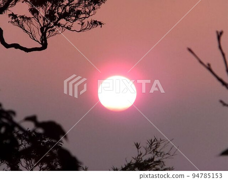 阿里山、新中浩郎 94785153