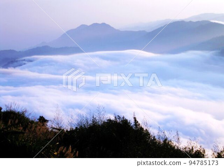 阿里山、新中浩郎 94785173