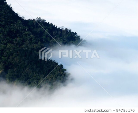 阿里山、新中浩郎 94785176