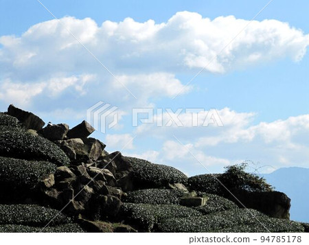 阿里山、新中浩郎 阿里山、新中浩郎 94785178