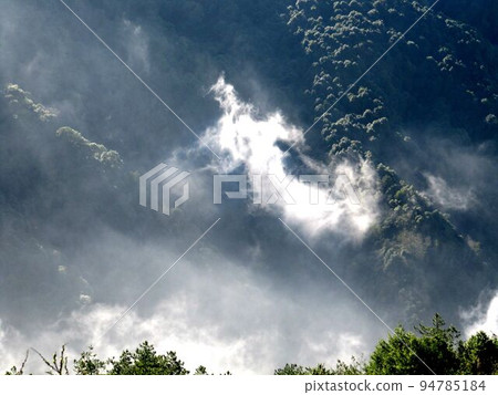 阿里山、新中浩郎 94785184