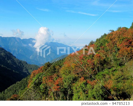 阿里山、新中浩郎 阿里山、新中浩郎 94785213