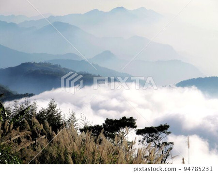 阿里山、新中浩郎 94785231