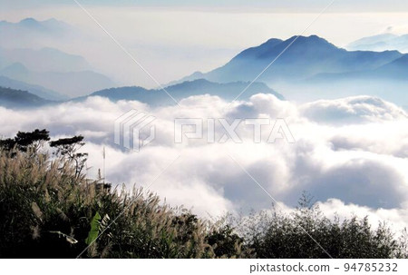 阿里山、新中浩郎 94785232