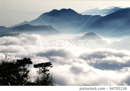 阿里山、新中浩郎 94785236