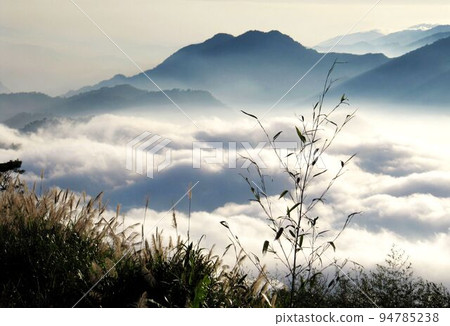 Alishan, Shinnaka Koro 94785238
