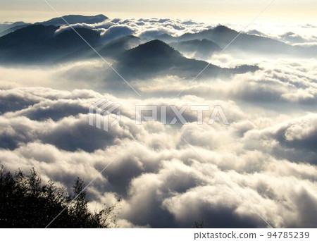 Alishan, Shinnaka Koro 94785239