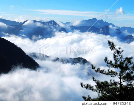 阿里山、新中浩郎 94785248