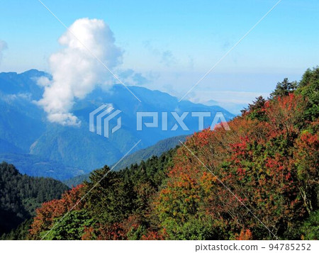阿里山、新中浩郎 阿里山、新中浩郎 94785252