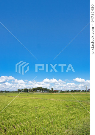 長生村秋景 長生村秋景 94785480