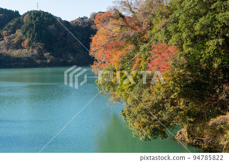 Autumn leaves of Lake Tanzawa 94785822