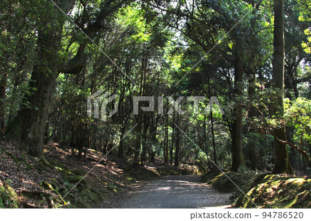奈良縣春日大社，奈良春日大社，朱紅色走廊，正殿 94786520