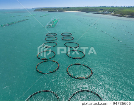 Aerial view  large fish farming unit  sea, Taiwan 94786606