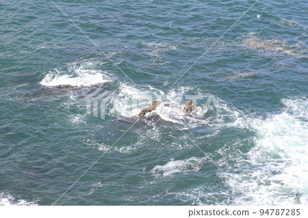 Anorizaki Lighthouse Anorizaki Anori Anori Ise Ise Shima Matoya Bay Sugasaki Enchi Pacific Ocean Ise Sea Anori Anori Port Line Anorizaki Lighthouse Anorizaki Anori Anori Ise Ise Shima Matoya Bay Sugasaki Enchi Pacific Ocean Ise Sea Anori Anori Port Line 94787285