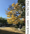 Okazaki Park where yellow ginkgo trees shine against the blue sky 94787362
