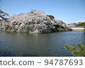 Hikone Castle Cherry Blossoms 2021 94787693