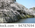 Cherry blossoms and National Treasure Hikone Castle04 94787694