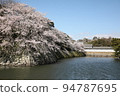 Cherry blossoms and National Treasure Hikone Castle03 94787695