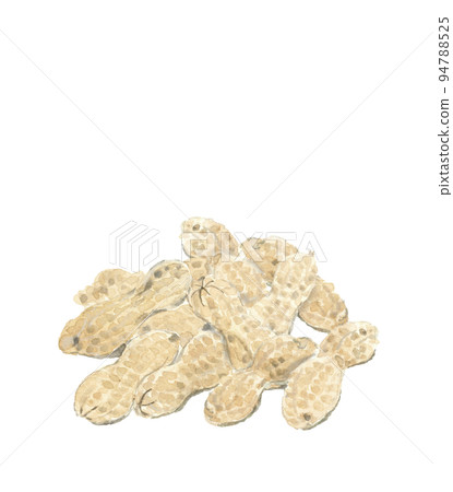 花生在白色背景上重疊的插圖透明背景 花生在白色背景上重疊的插圖透明背景 94788525