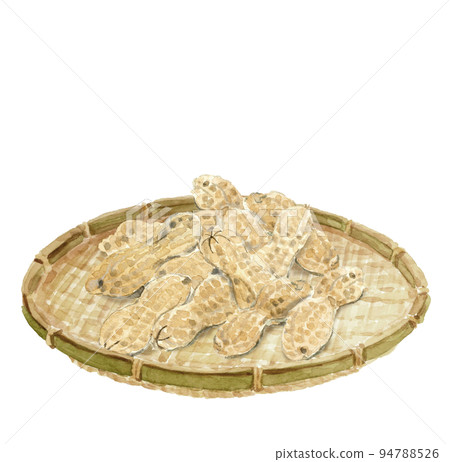 水彩畫的濾鍋中的花生插圖白背透明背景 94788526