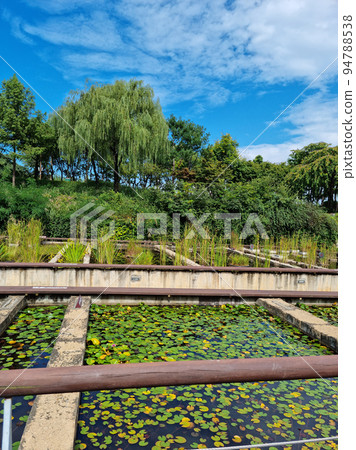 Seonyudo Park Seonyudo Park 94788538