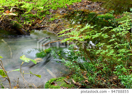 Clear Stream and Chokai Marimo Shishigahana Wetlands, Akita Prefecture Clear Stream and Chokai Marimo Shishigahana Wetlands, Akita Prefecture 94788855