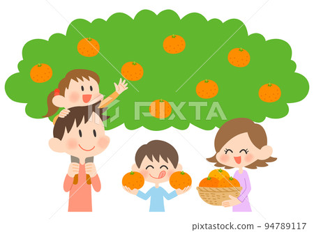 Families enjoying orange picking 94789117